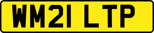 WM21LTP