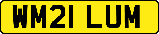 WM21LUM