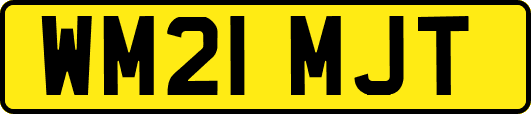 WM21MJT