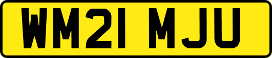 WM21MJU