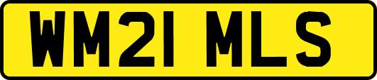WM21MLS