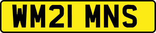 WM21MNS