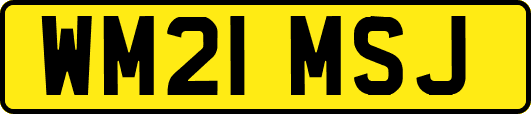 WM21MSJ