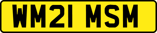 WM21MSM