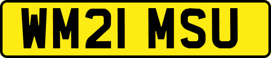 WM21MSU