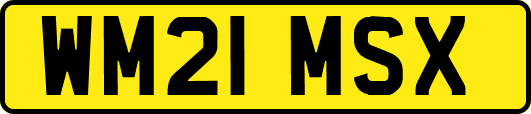 WM21MSX