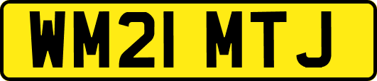 WM21MTJ