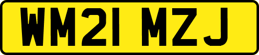 WM21MZJ
