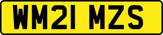 WM21MZS