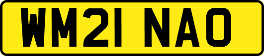 WM21NAO