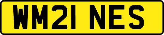 WM21NES