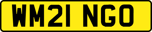 WM21NGO
