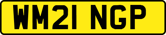 WM21NGP