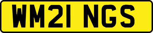 WM21NGS
