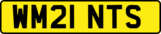 WM21NTS