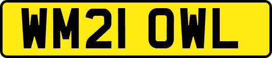WM21OWL