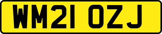 WM21OZJ