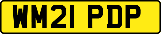 WM21PDP