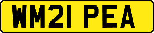 WM21PEA