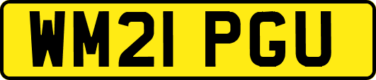 WM21PGU