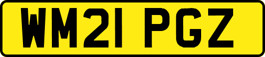 WM21PGZ