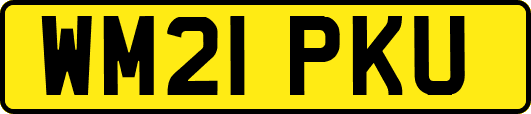 WM21PKU