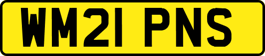 WM21PNS