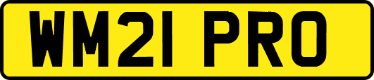 WM21PRO