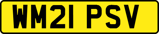 WM21PSV