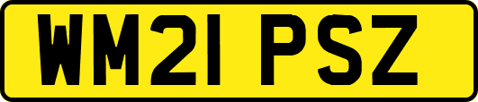 WM21PSZ