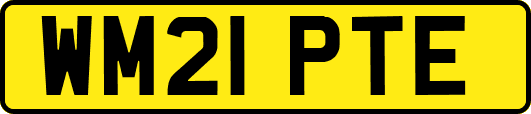 WM21PTE