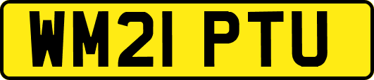 WM21PTU