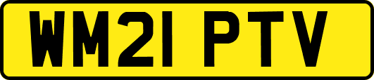 WM21PTV