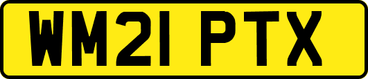 WM21PTX