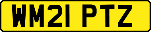 WM21PTZ