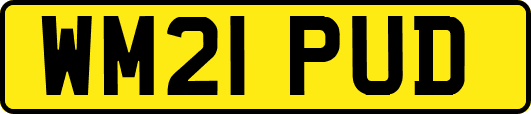 WM21PUD