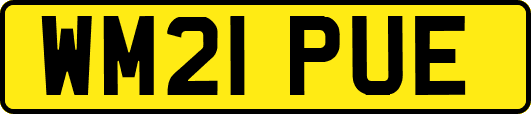 WM21PUE