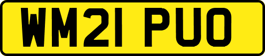 WM21PUO