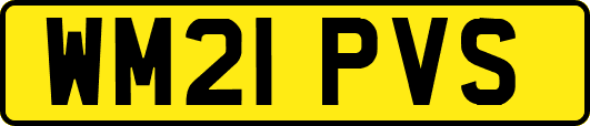 WM21PVS