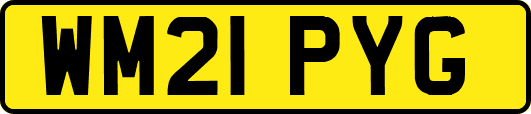 WM21PYG