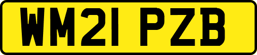 WM21PZB