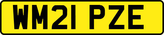 WM21PZE
