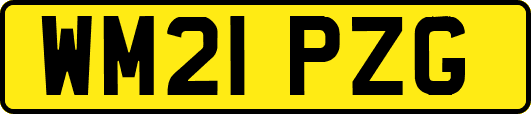 WM21PZG