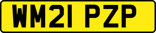 WM21PZP