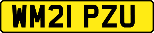 WM21PZU