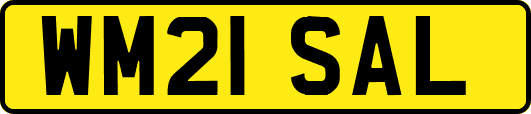 WM21SAL