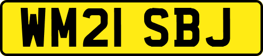 WM21SBJ