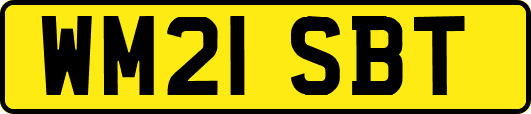 WM21SBT
