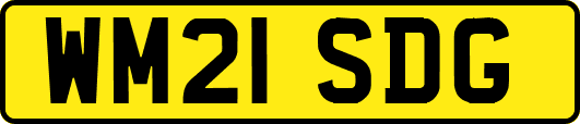 WM21SDG