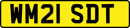 WM21SDT